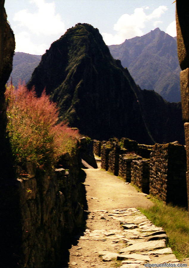 huayna picchu cusco001